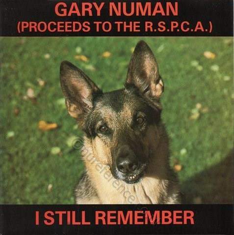 I Still Remember cover